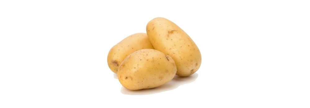 Potato