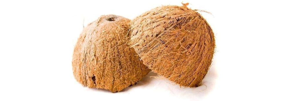 Coconut Shell