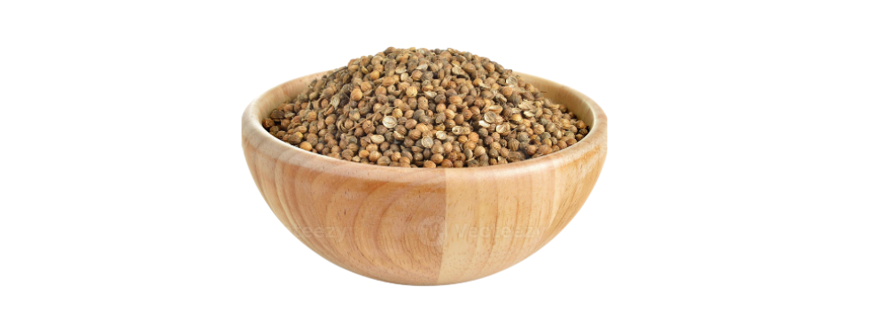 Coriander